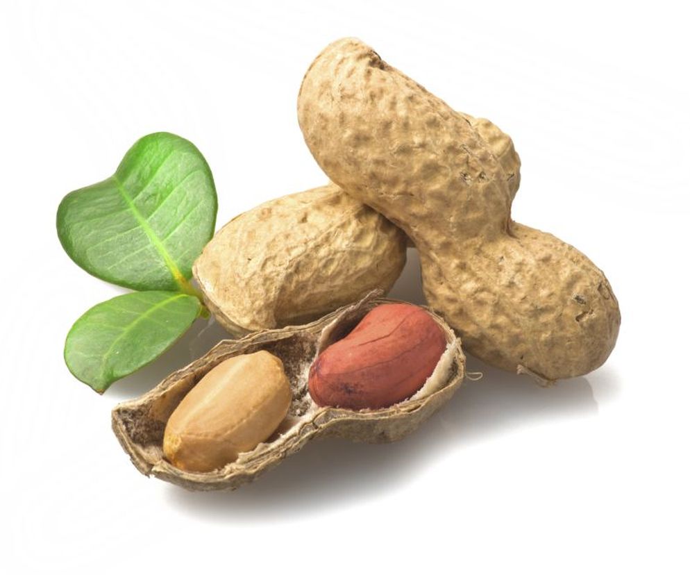 Orzechy ziemne  ( arachidowe) , czyli popularne  fistaszki , posiadają wyjątkowe  właściwości  i  wartości odżywcze .