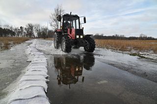 Wyspa Chrząszczewska