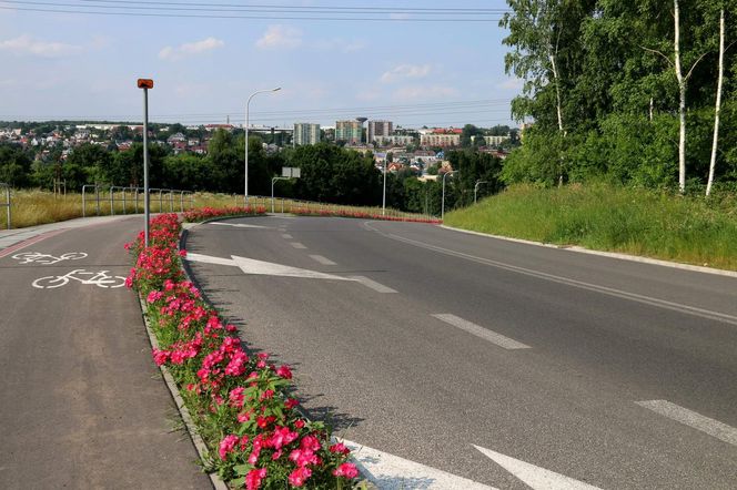 Starachowice. To najbardziej ukwiecone miasto świętokrzyskiego