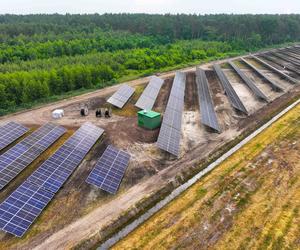 Diecezja Płocka producentem prądu? Jeszcze jak! W mieście powstała farma za grube miliony