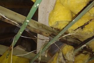 Pielęgniarka z Tarnowa straciła dach nad głową. Trwa zbiórka na remont zniszczonego budynku