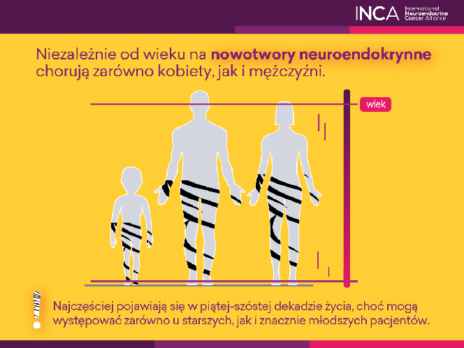 infografika 3