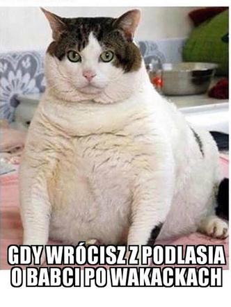 Najzabawniejsze memy o Podlasiu