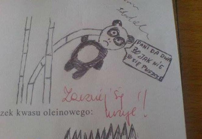 Hity z kartkówek i sprawdzianów! Teksty uczniów bawią do łez! 