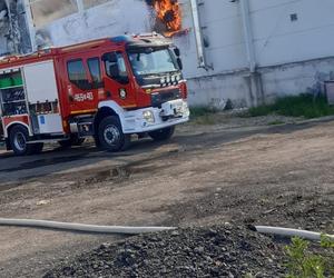 Potężny pożar hali produkcyjnej w Niwnicy 