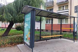 Nowe życie dla grudziądzkich przystanków. Sprawdź które wiaty zostaną odnowione!