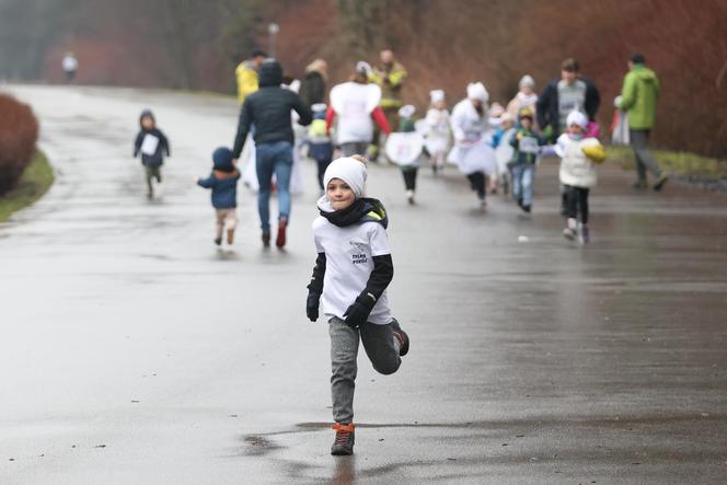 Bieg Fundacji Śląskie Anioły w Katowicach