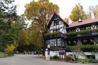Nowe zwierzęta przyjechały do gdańskiego zoo. Wśród kilku gatunków są urocze „mikruski”, ale też znacznie większe okazy