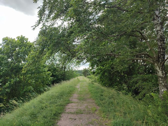 Zwalony most w Grądach Kruklaneckich