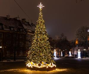 Świąteczne dekoracje na ulicach Warszawy. Iluminacja 2023 - zdjęcia