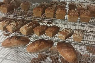 Właściciel zdradził nam tajniki swojej pracy