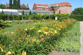 Ogród Botaniczny Uniwersytetu Wrocławskiego 