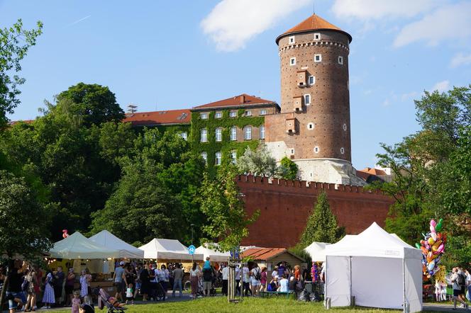 Smoczy Piknik Rodzinny 2024