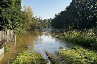 Wrocław walczy z wielką wodą. Rzeka wylewa na Stabłowicach, ludzie układają worki z piaskiem 
