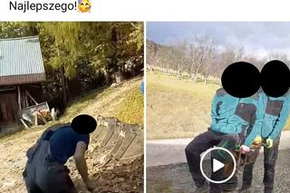 Młodzi ludzie znęcali się nad kotami 