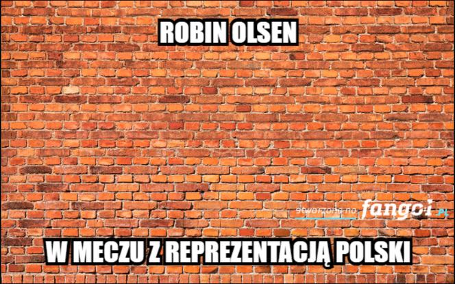 Memy po meczu Polska - Szwecja