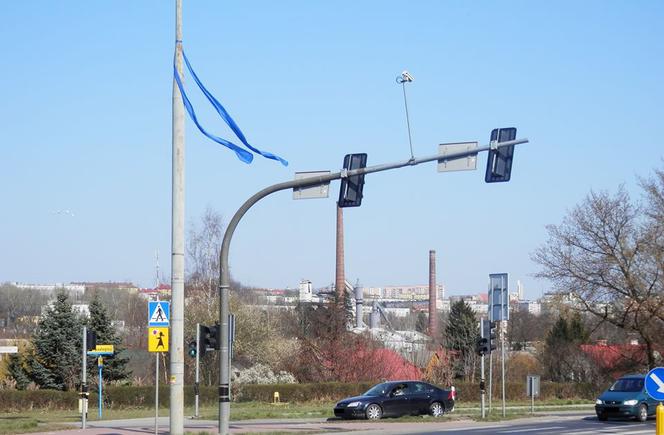 Niebieska Wstążka dla służby zdrowia