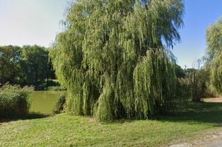 Ten tajemniczy pałac w województwie kujawsko-pomorskim jest na sprzedaż. To blisko Bydgsozczy 