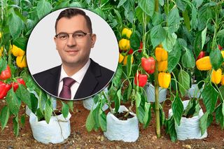 Przymrozki zniszczyły owoce. Minister alarmuje i prosi UE o pomoc 