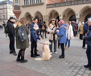 33. Finał WOŚP z grupą krakowskich Golden Retrieverów