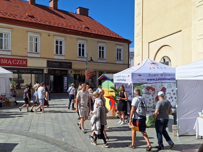 Festiwal Karpaty na Widelcu w Rzeszowie