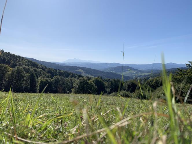 Bacówka Nad Wierchomlą w Beskidzie Sądeckim. To prawdziwy turystyczny hit!