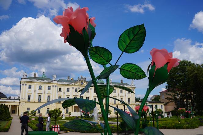 Nowa instalacja artystyczna przy Pałacu Branikich w Białymstoku