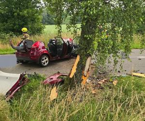 Makabryczny wypadek pod Szczecinem. Rozpędzone auto uderzyło w drzewo. Jedna osoba nie żyje, dwie są ranne