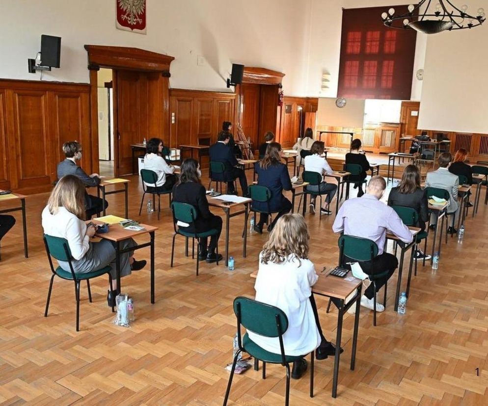 Matura z języka polskiego. Pytania i odpowiedz