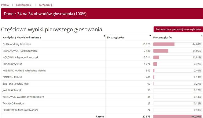 Wybory prezydenckie 2020: Jak głosowali mieszkańcy Podkarpacia