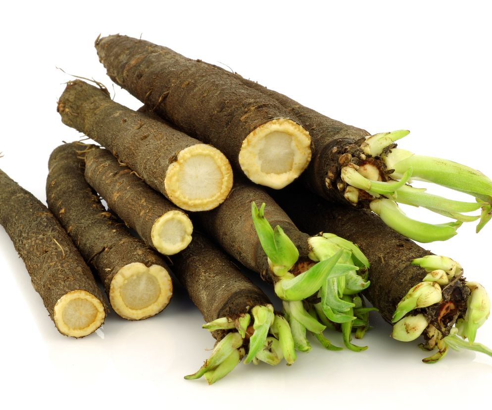 Skorzonera (wężymord, czarny korzeń)