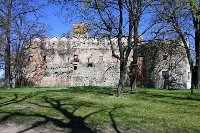 Polskie miasto zachwyciło zagraniczną turystkę. To perła Dolnego Śląska