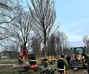 Park Ogród Płaszów się rozrasta. Wkrótce zazielenią się nowe drzewa