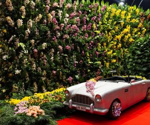 World Flower Show