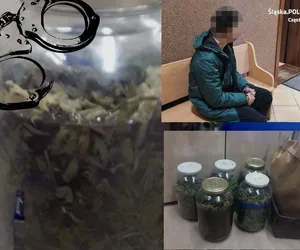 23-latek trzymał w domu 7,5 kg marihuany, Mówił, że robi z niej nalewkę