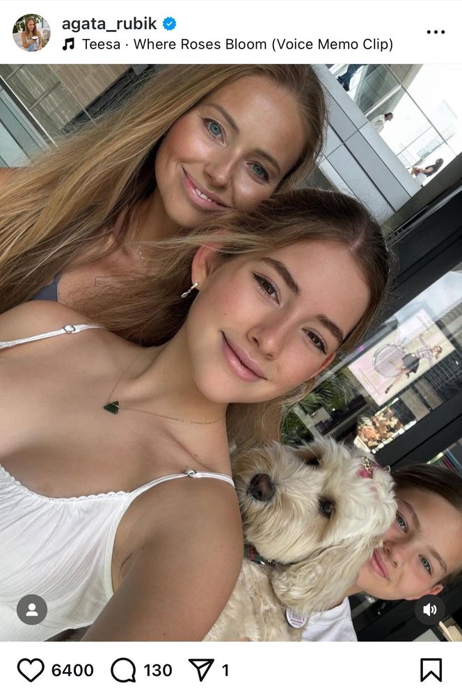 Te psy skradły serca gwiazd! Niektóre wyglądają jak z bajk