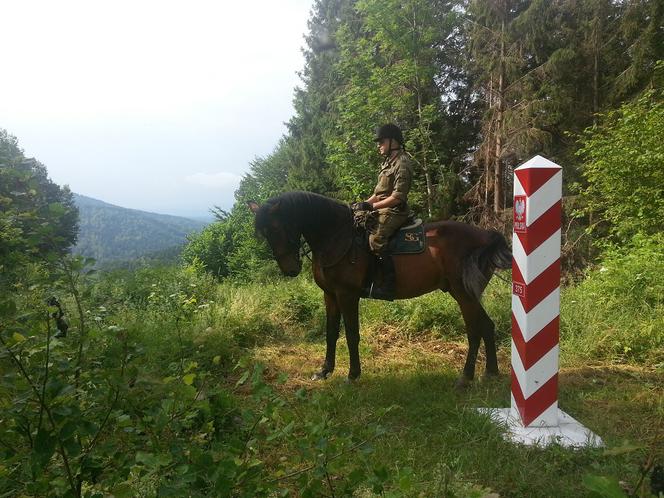 Solo zakończył służbę w straży granicznej