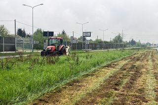 Miasto zaczyna koszenie traw. Będzie rzadsze, a ludzie zwracają uwagę na jedną rzecz
