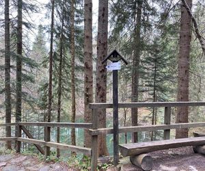 eden ze szlaków na Babią Górę zostanie zamknięty