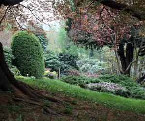 Arboretum Wojsławice prezentuje pełną paletę barw