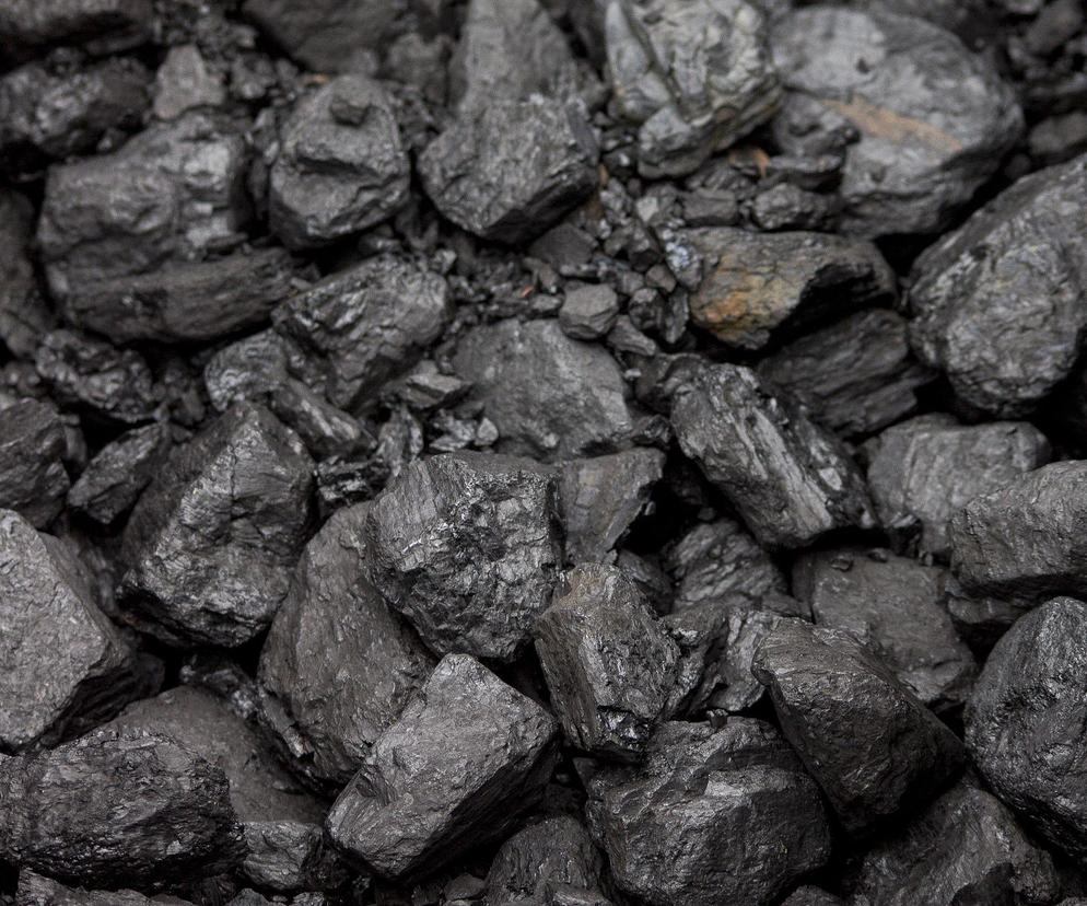 Małopolska. Pracownicy składu kantowali przy zakupie węgla. Nielegalnie zdobyli setki ton opału