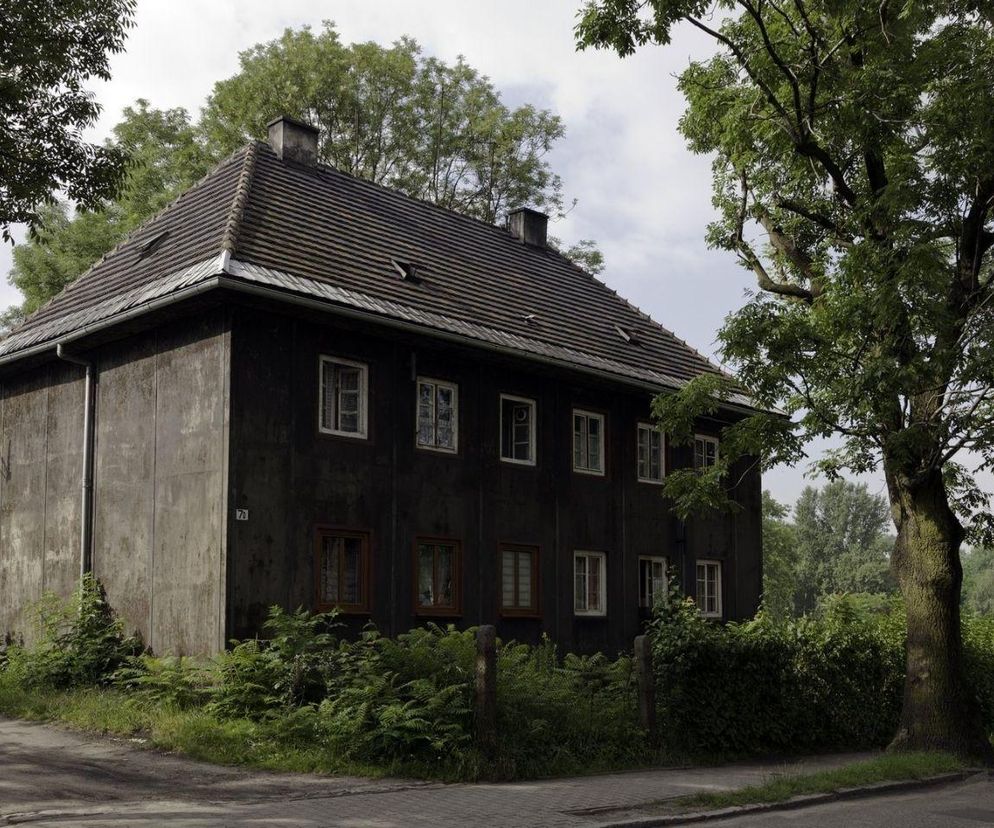Nietypowe atrakcje w Śląskiem. Zachwycają i zaskakują
