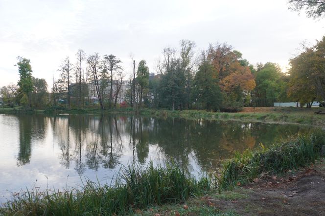 Park Lubomirskich w Białymstoku jesienią 