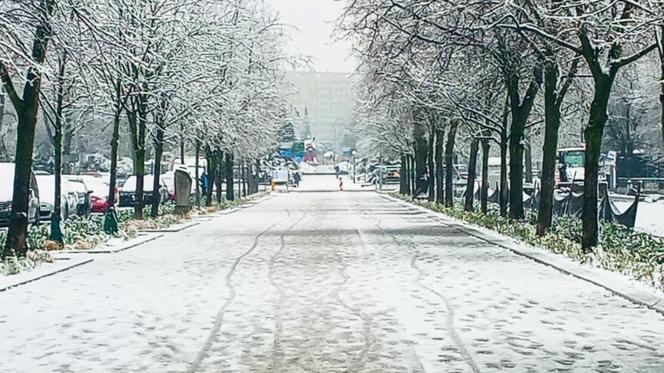 Pierwszy śnieg w Szczecinie