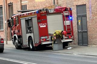 Gnijące zwłoki w głębokiej dziurze! Makabra na Pradze, na miejscu prokurator