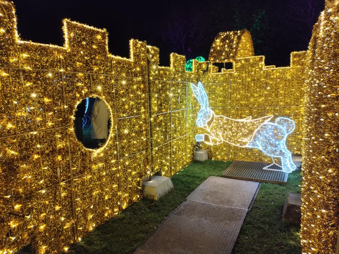 Park iluminacji w Lublinie