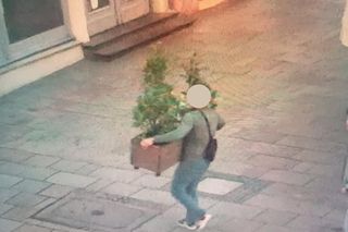 Miłośnik przyrody podwędził donicę z rynku w Krakowie. Chłop ma mocny kręgosłup