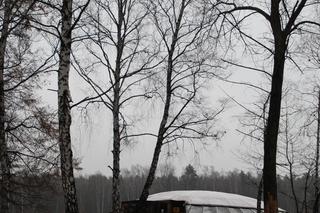 Arizona - UFO z Dąbrowy Górniczej. Zobacz zdjęcia opuszczonej restauracji