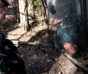 M jak miłość odc. 1875. Dominik Walat (Bartosz Surówka), Paweł (Rafał Mroczek)