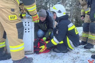 Strażacy uratowali sarenkę